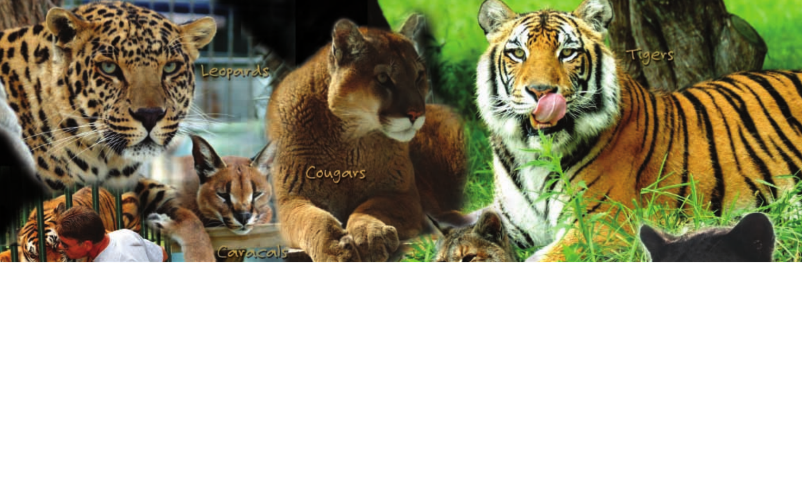 Historical Cedar Cove brochure page two