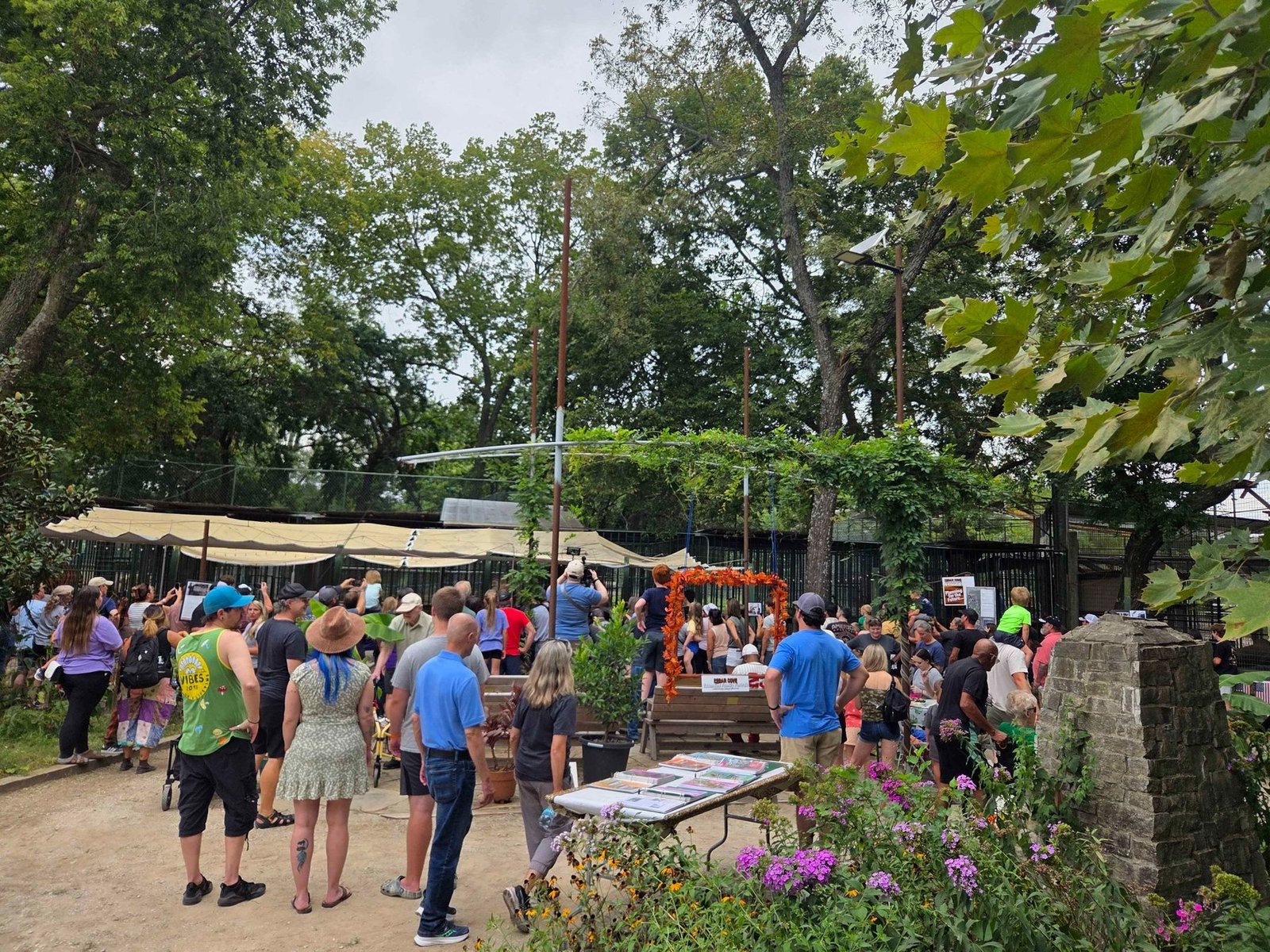 Guests gathered at Cedar Cove